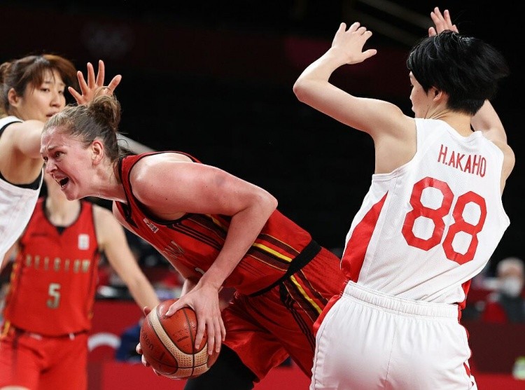 最佳第六人概率：哈克斯28%居首 里德16%第二 谢泼德15%第三（最佳第六人预测：哈克斯以28%领跑，里德16%居次，谢泼德15%列第三）